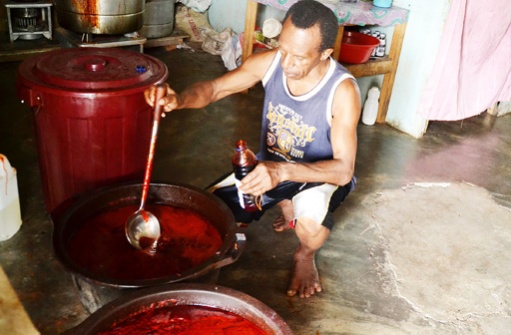 Hanya Tumbuh Di Tanah Papua, Buah Merah Yang Jadi Incaran Dunia